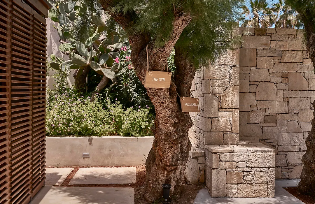 Phaea Cretan Malia, A Member Of Design Hotels-1